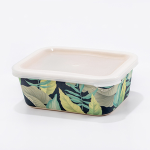New Design Insulated Food Storage Box Airtight Food Container Set