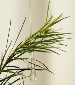 Sérum facial réparateur hydratant et éclaircissant anti-rides CICAMING pour peaux sensibles, ampoule apaisante pour les rougeurs et l'acné - Product Image 3