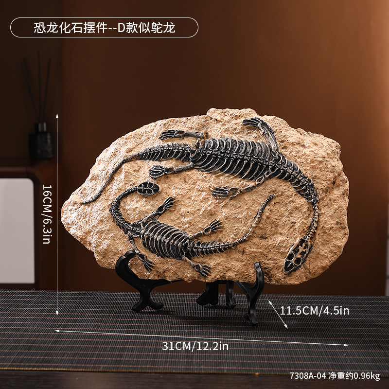 7308A-04 เครื่องประดับฟอสซิลไดโนเสาร์ - ประเภท D คล้ายนกกระจอกเทศ