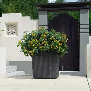 Classic Rattan Look surface Indoor home decor Self Watering large Square white plastic Planter Pot for green trees herbs