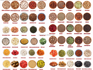 Preço de atacado de alta qualidade nova colheita 100% planta natural erva chinesa raiz de <span class=keywords><strong>ginseng</strong></span> oriental seco para venda - Product Image 6