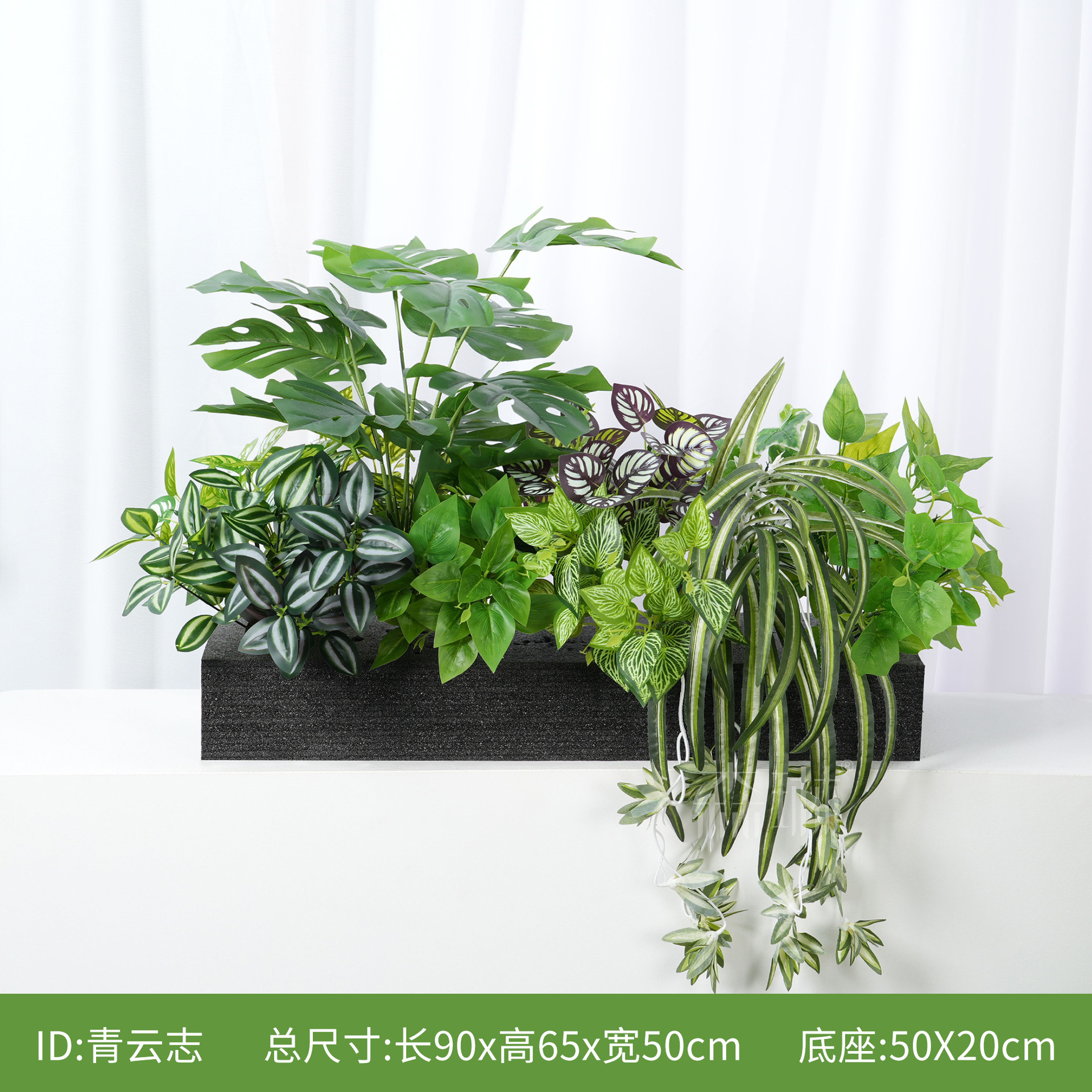 Qingyunzhi [Convient aux jardinières de 70 cm]
