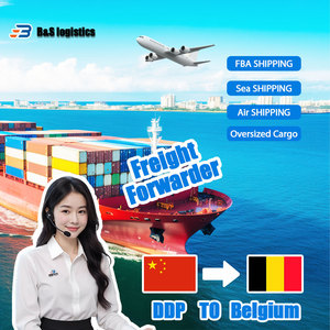 中国到欧洲奥地利比利时德国匈牙利爱尔兰专业运输货运代理海运DDP - Product Image 1