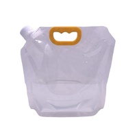 Sacs en plastique transparents de catégorie comestible de 250ml 1000ml 5L avec le sac de bec de poignées