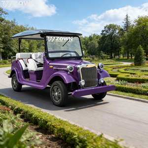 Mejor Precio Directo de Fábrica: Coche Eléctrico Retro Vintage con Varias Opciones de Asientos para Uso en Clubes Campestres, Turismo y Eventos - Product Image 1