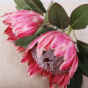 Flor Artificial 3D de Protea, Alta Simulación, Decoración para Bodas y Hogar, Material Duradero - Product Image 3