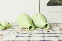 Pot de fleurs en céramique pour plantes succulentes, style jardin domestique, finition émaillée, trou de drainage, écologique, vente en gros