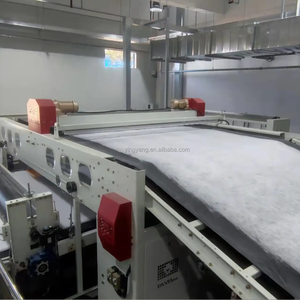 याइल सुई ने पिचके कचरे को फर्श कालीन पैकेजिंग सामग्री के लिए उत्पादन लाइन सुई लूम - Product Image 5