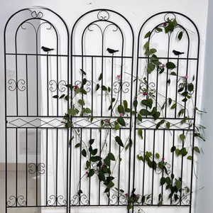 Arco de Metal Oniya para Plantas Trepadoras, Soporte para Rosas, Decoración de Jardín, Valla para Flores y Plantas en Espiral - Product Image 6