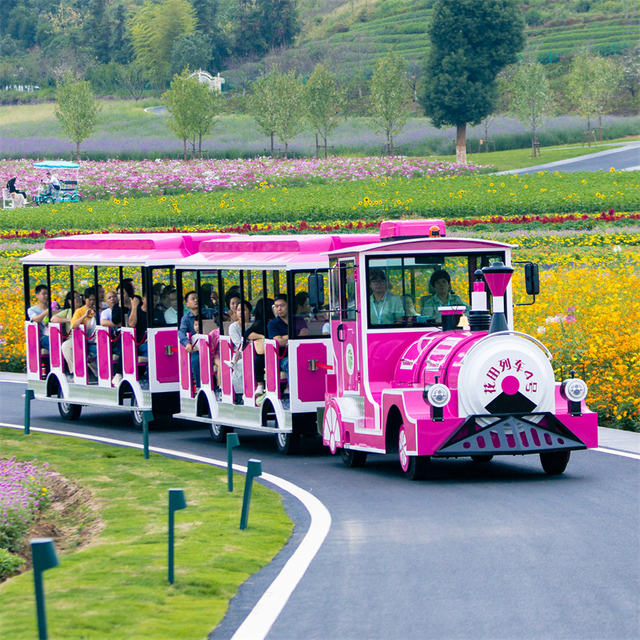 Custom Electric Trade Tourist Road Fun Train for Sale