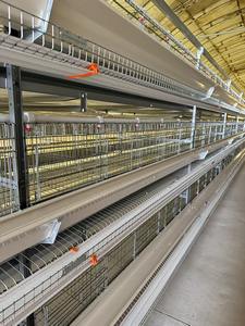 Gabbia di pollame per allevamenti di polli 2000 - Product Image 5