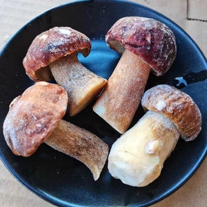 Detan Hoang Dã <span class=keywords><strong>boletus</strong></span> <span class=keywords><strong>edulis</strong></span> Chất lượng cao Vân Nam đông lạnh porcini Nấm - Product Image 5