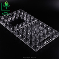 Plateau de rangement pour œufs en PET transparent, grande capacité (28 alvéoles), anti-fuite, pour œufs de poule et de canard, vente en gros usine, idéal pour la vente au détail