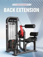 Machine de musculation professionnelle pour usage commercial et domestique, machine d'extension dorsale assise à charge par poulies pour l'entraînement de la force