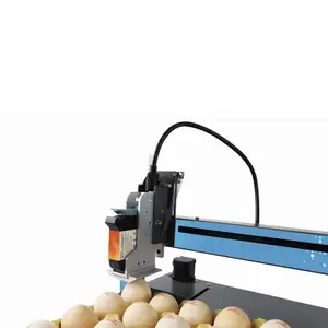 INCODE Automatic Print Date Coding Printing Machine Stamping Expiry Code Head Egg Ink Jet Inkjet Printer