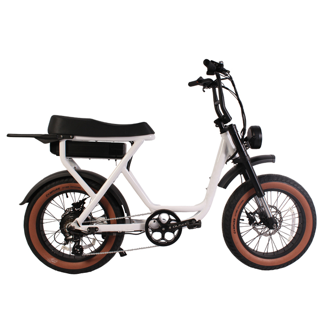 Trendy Electric Bike for Urban Riders: Dual Suspension for Ultimate Comfort with Fat Tire  48V 750W Motor 25Ah Battery