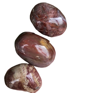 Wholesale Natural Red Wood <strong>Jade</strong> fossil Raw <strong>Stone</strong> Healing Petrified Wood Palm <strong>Stone</strong> Calm <strong>Stone</strong> - Product Image 1