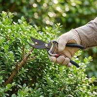 Sécatrices bypass robustes en acier SK5 longue durée, 8/10 pouces, à levier, pour l'entretien professionnel des arbres