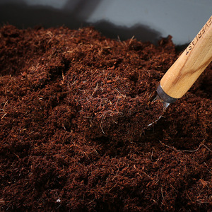 Grand bloc de coco naturel pour la plantation, tourbe de coco pour légumes, grands blocs de tourbe de coco pour plantes - Product Image 3