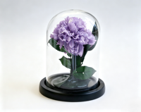 Fleur éternelle de Yunnan, œillet préservé sous cloche en verre, cadeau artisanal pour Noël, la fête des Mères ou la décoration d'événements