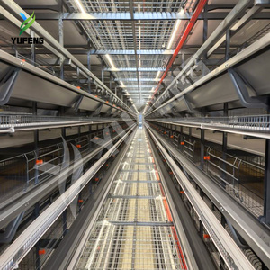 Yeni H tipi otomatik gübre temizleme pil tabakası yumurta tavuk kafesleri tavuklar büyük tavuk çiftliği sıcak daldırma galvanizleme 2 yıl döşeme - Product Image 2