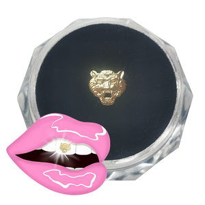 ZZSU Teeth Gems Tooth Gem Kit Supplier 8K Gold 925 Silver Dental Jewelry Wholesale Price OEM Services - Product Image 4