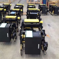 Palans électriques hydrauliques/câble de haute qualité, neufs, européens, robustes, avec moteur, protection IP55, télécommande, de qualité supérieure internationale