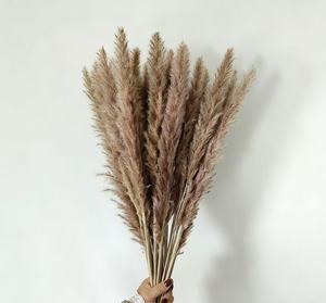 Hierba de Pampas Seca Natural Blanca y Gris para Decoración de Bodas y Navidad, Ecológica, para el Año Nuevo Chino, <span class=keywords><strong>Cortaderia</strong></span> - Product Image 5