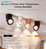 Spot LED de plafond encastré 3CCT, angle réglable, anti-éblouissement, en aluminium, pour la maison, le salon, la chambre, le magasin