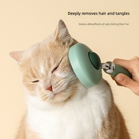 Kit de toilettage pour animaux de compagnie : Brosse peigne en plastique auto-nettoyante à bouton unique pour l'élimination des poils, idéale pour chats et chiens - Vente en gros Chine