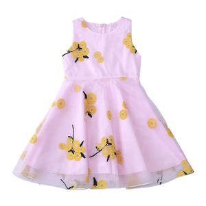 Robe Tutu Style Vintage pour Filles, Robe de Princesse en Dentelle à Fleurs Brodé pour l'Été, Vente en Gros en Ligne - Product Image 1