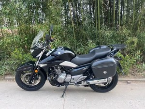 Suzuki GW250 <span class=keywords><strong>Inazuma</strong></span> 250cc <span class=keywords><strong>Moto</strong></span> Cruiser a Benzina con Iniezione Elettronica, Trasmissione a 6 Velocità, Guida Stabile, Ideale per Pendolari Urbani - Product Image 4