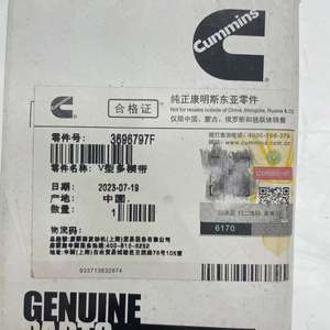 3696797 V-ribbenriem voor <span class=keywords><strong>Cummins</strong></span> ISG F motoronderdelen, hete aanbieding - Product Image 6