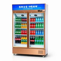 Réfrigérateur Vitrine Verticale OEM ODM à Double Porte Vitrée avec Refroidissement par Ventilation pour Boissons, Idéal pour les Magasins de Proximité