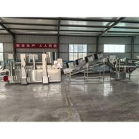 Automatische multifunctionele productielijn voor diepvriesfrieten van groenten, hoge efficiëntie, eenvoudige bediening