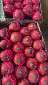 Giá bán buôn táo tươi trái cây với số lượng lớn Trung Quốc Sơn Đông tươi Fuji Apple - Product Image 6