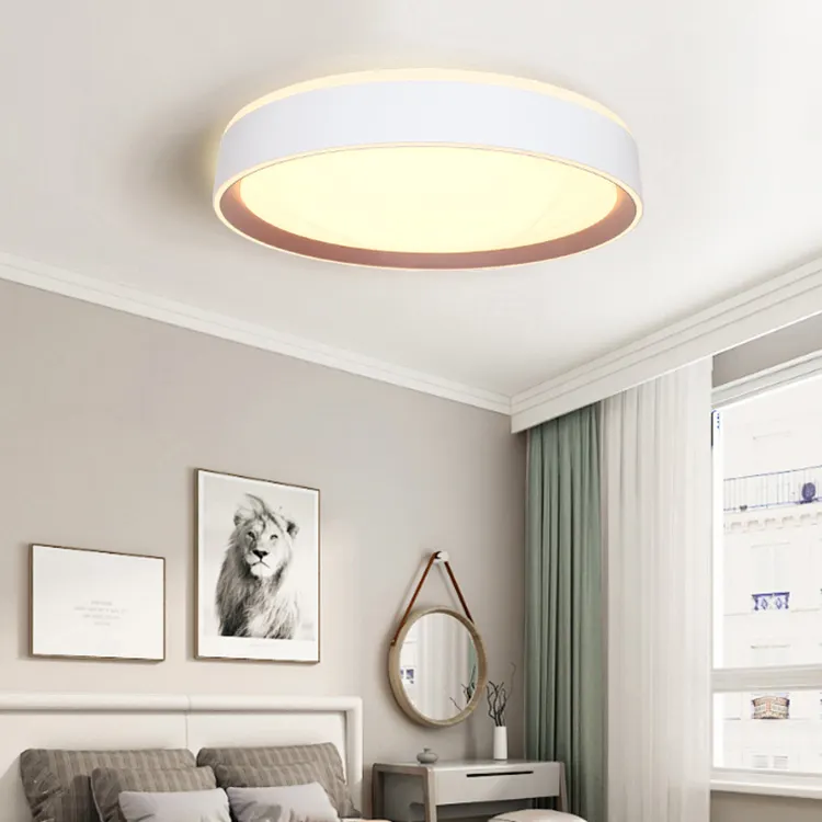 Modern Flush Mount Design Dimmable Living Room Bedroom Modern Ultra-thin Bedroom Lamp For Home 24w Smart Rgb Led Ceiling Light