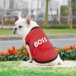 Camiseta de algodón 100% para perros bordada 'Classy Sassy Bit Bossy' lavable a máquina lindo <span class=keywords><strong>chaleco</strong></span> para mascotas para perros grandes ropa rosa para perros - Product Image 5