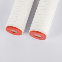 Kartrid Filter PES 10/20/30/40 inci 0.22 mikron membran berlipat untuk sistem penyaring air