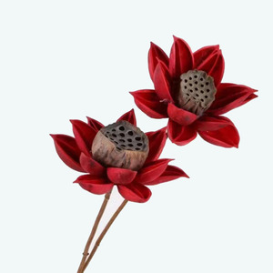 Vente en gros Fleur séchée à la main fleurs en bois séchées bourgeon rouge lotus pour artiste bouddhiste décoration intérieure - Product Image 5
