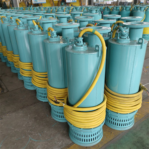 Bqs Bomba Sumergible Centrífuga Eléctrica a Prueba de Explosiones para Minería, 7.5 HP, con Conexión de Brida - Product Image 1