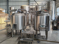 Système de fermentation 300L 500L 800L 5HL, brasserie, pub, projet clé en main, bière, équipement de brassage