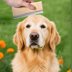 Üretici toptan profesyonel çift eylem decats aracı ahşap Pet damat fırça kediler ve köpekler için paslanmaz çelik malzeme - Product Image 3