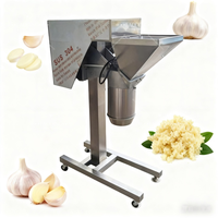Machine de haute qualité pour le broyage du piment, la fabrication de sauce tomate, le traitement du gingembre, le concassage des oignons, le broyage de l'ail
