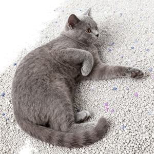 Bentonit Umwelt freundliche staubfreie, schnelle Verklumpung Katzenstreu sand Easy Clean <span class=keywords><strong>Scoop</strong></span> Starke Verklumpung - Product Image 1