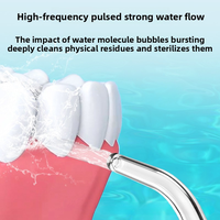 Irrigateur buccal portable 300ML, réservoir d'eau détachable, 3 modes, étanche IPX7, pour les voyages et l'utilisation à domicile