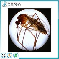Medical Parasitology Glass Microscope Prepared Slides for Zoology Parasite Teaching-Deren DRPR