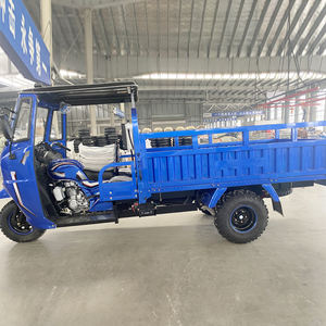 Novo Estilo Triciclo de 250cc para Passageiros e Carga Motocicleta Triciclo a Gasolina de Três Rodas com Teto - Product Image 1