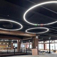 Lámpara colgante lineal Led circular grande de 2m/3m/4m para restaurante