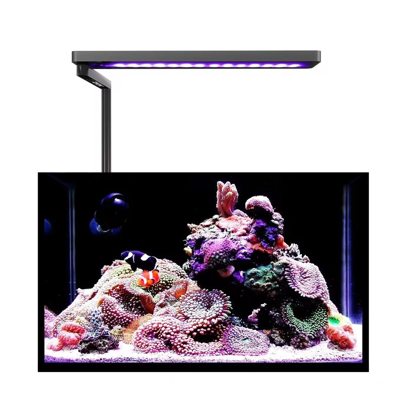 Lâmpada de aquário de espectro completo com controle de aplicativo regulável, luz LED para aquário, luz à prova d'água